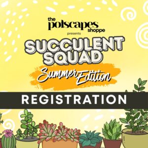 Succulent Squad: Summer Edition